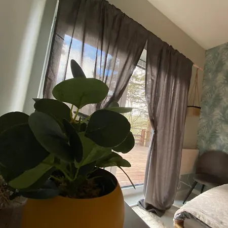 Zebikucko Hotel 4*